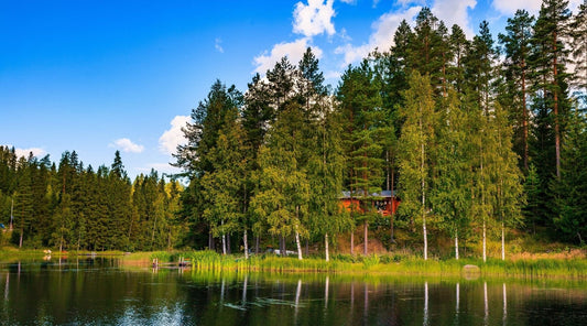 The Dreamy Finnish Summer Life at the Cottage - How to mökki the Finnish way! - Feels like Finland