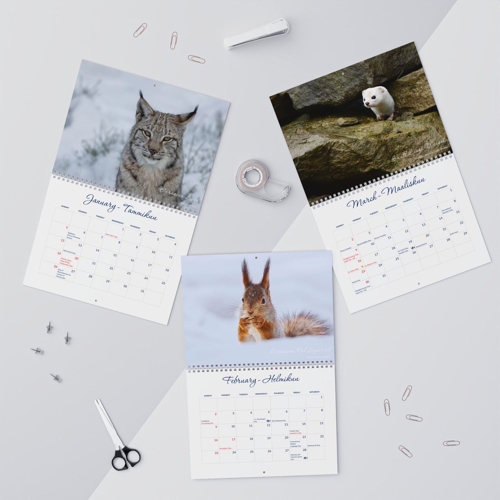 2025 Finnish Animals American Wall Calendar - Feels like Finland