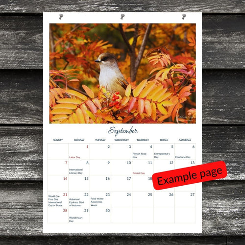 2025 Finnish Animals, Printable Wall Calendar (American)