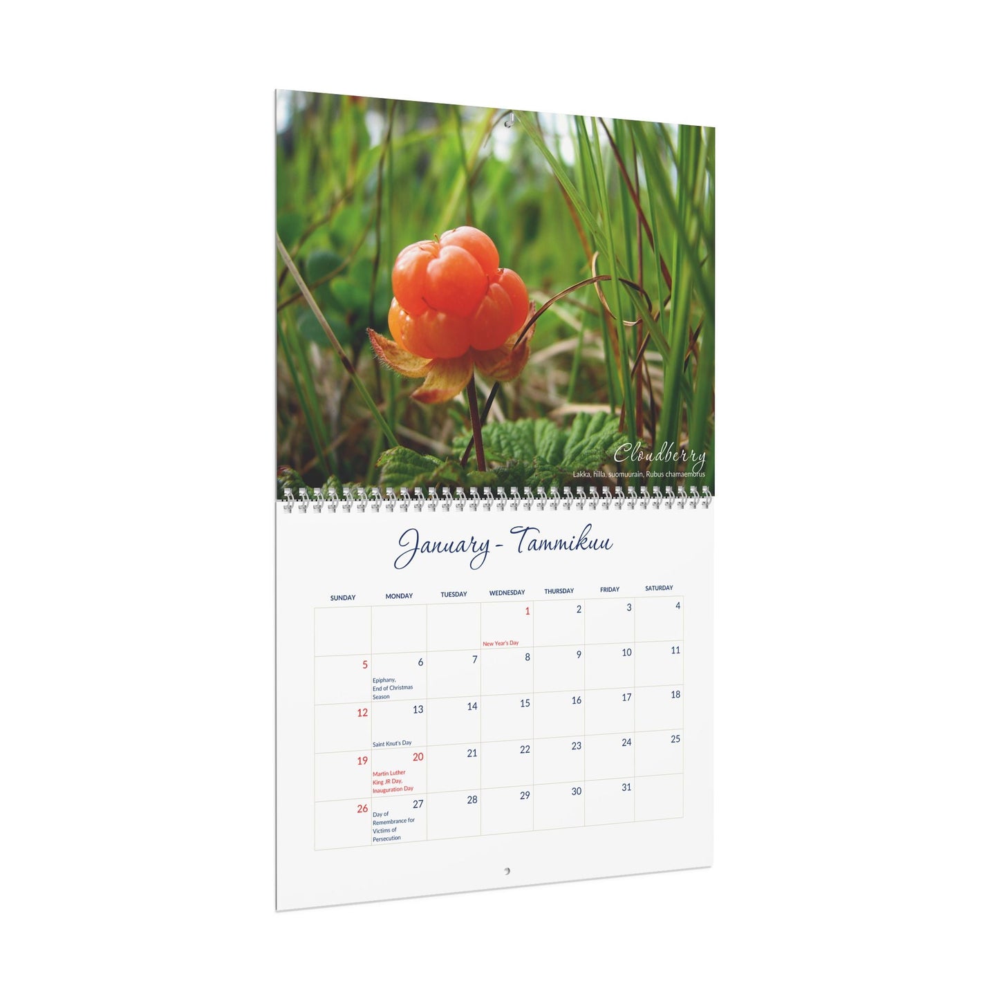 2025 Finnish Berries American Wall Calendar - Feels like Finland