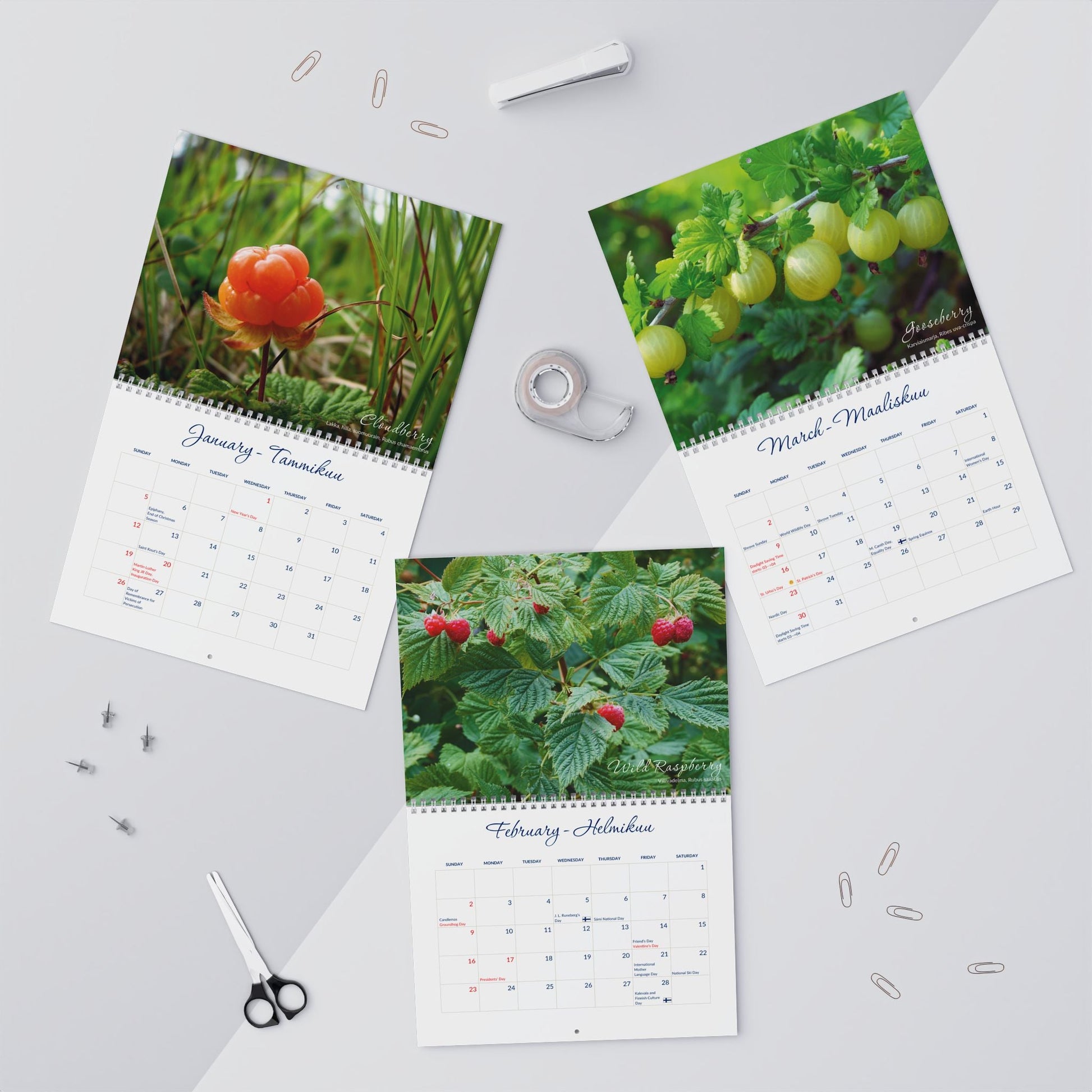 2025 Finnish Berries American Wall Calendar - Feels like Finland