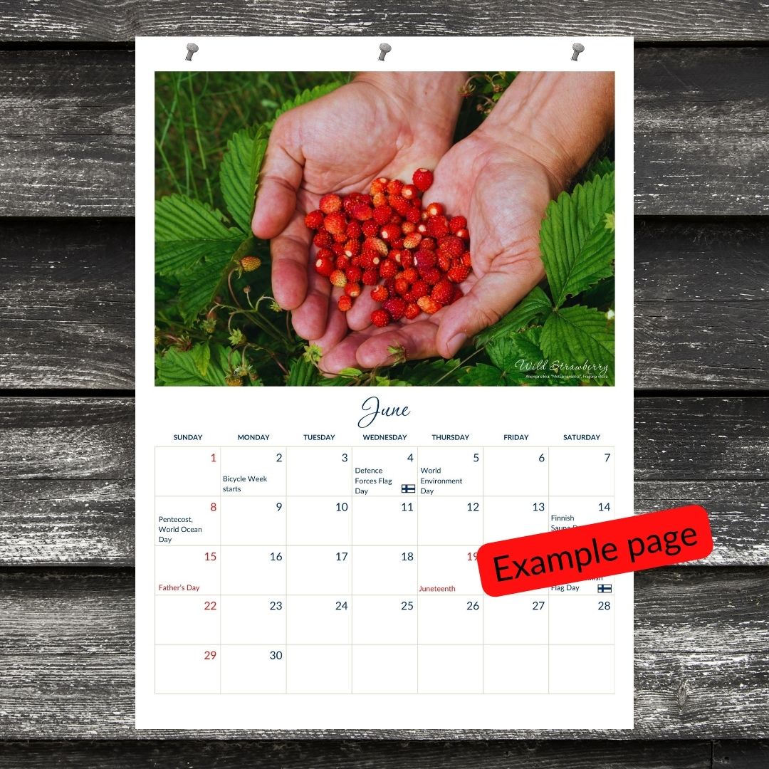 2025 Finnish Berries, Printable Wall Calendar (American) - Feels like Finland