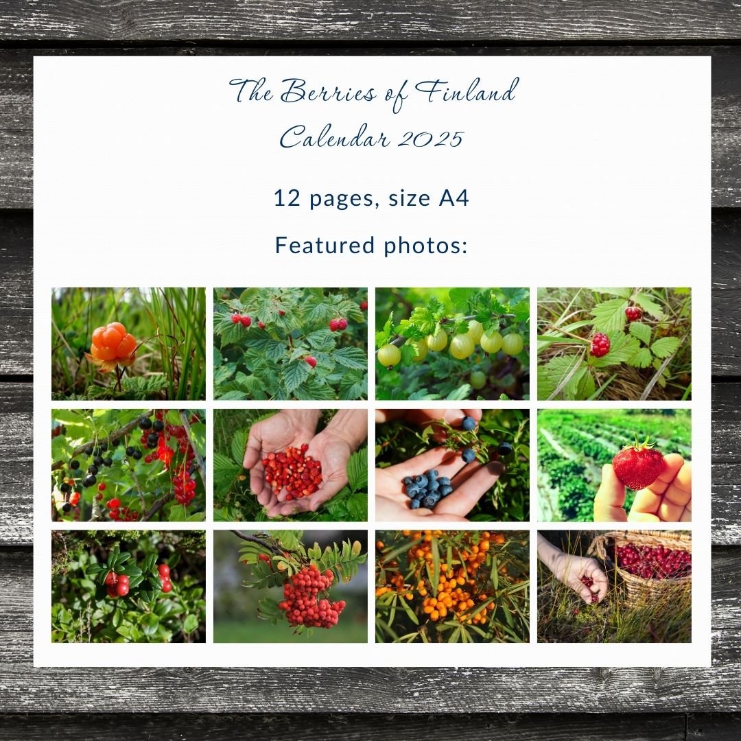 2025 Finnish Berries, Printable Wall Calendar (American) - Feels like Finland